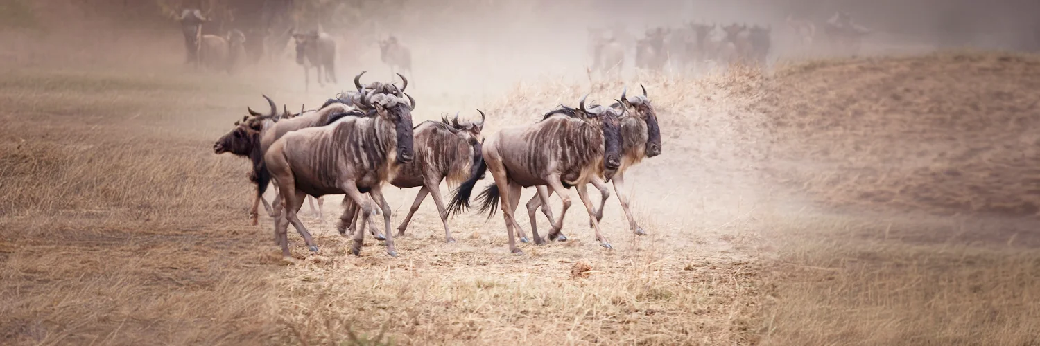 helena-pfisterer-xSbyDPqSZ-c-unsplash 1.webp